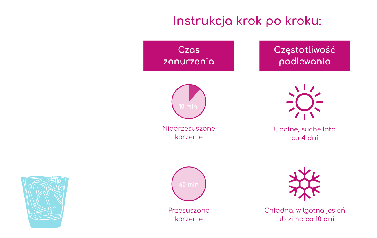Jak podlewać